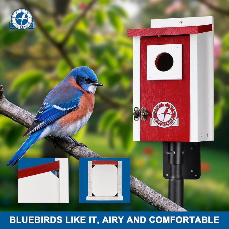 SISTERBIRD Bird Houses for Outside, Claret-Red Bird House, Bluebird Houses for Outside, Garden Decoration Birdhouses for Outdoors, Bluebird Finch Swallow Wren Chickadee - Image 2